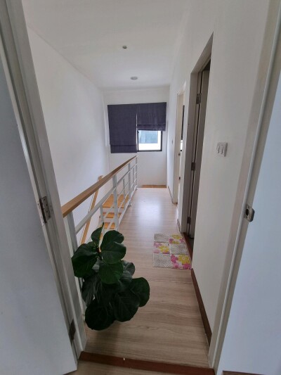 บ้านกลางเมือง กัลปพฤกษ์