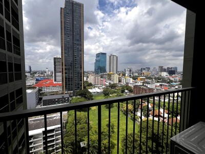 โนเบิล โซโล / Noble Solo