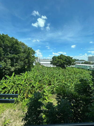 ออริจิ้น เพลย์ ศรีอุดม สเตชั่น / Origin Play Sri Udom Station