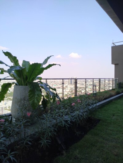 ศุภาลัย เวอเรนด้า สุขุมวิท 117 / Supalai Veranda Sukhumvit 117-11