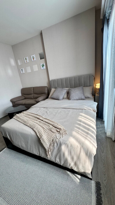 โมดิซ อาวองการ์ด / Modiz Avantgarde-2