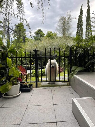 ไลฟ์ บางกอก บูเลอวาร์ด ราชพฤกษ์ - รัตนาธิเบศร์ / พื้นที่ใช้สอย 191 ตรม.