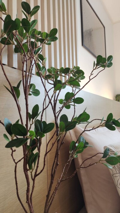 อัปเดตล่าสุด 21/8/67 :  ยู ดีไลท์ 2 บางซื่อ สเตชั่น /  27 ตร.ม.  ชั้น 30