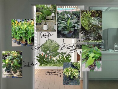 วิรัลพัชร เฉลิมพระเกียรติ 48 / 205 ตรม.-29