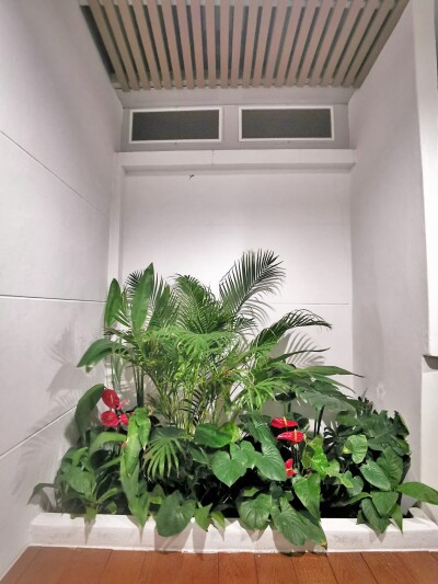 วิรัลพัชร เฉลิมพระเกียรติ 48 / 205 ตรม.-28