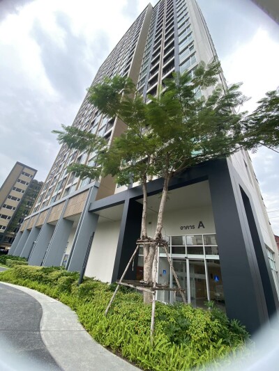 ลุมพินี พาร์ค บรมราชชนนี - สิรินธร / สตูดิโอ 23ตรม ชั้น10 อาคารA