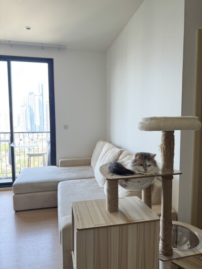 มารุ เอกมัย 2 /35 ตรม. ชั้น: 21