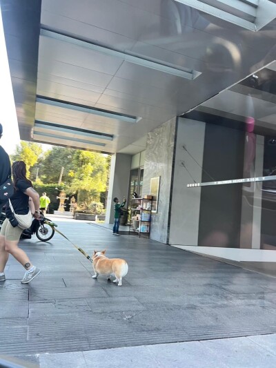 แอชตัน มอร์ฟ 38 / 74.25 ตรม. ชั้น11