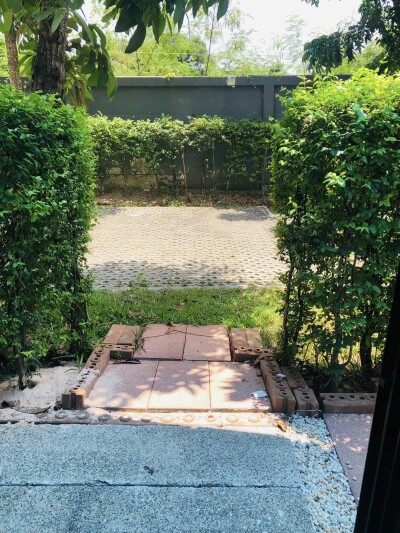 ไอคอนโด สุขุมวิท 105 / ✅ห้องแบ่งเป็นสัดส่วน  ✳️1 ห้องนอน 🛌  ✳️1 ห้องครัว  ✳️1 ห้องน้ำ 🛁-10