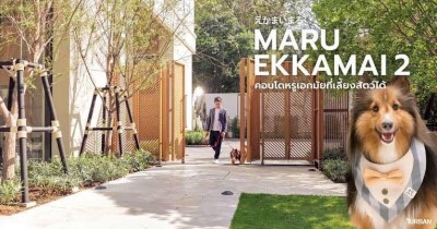 มารุ เอกมัย 2 / 55 ตร.ม.  ชั้น 19-20