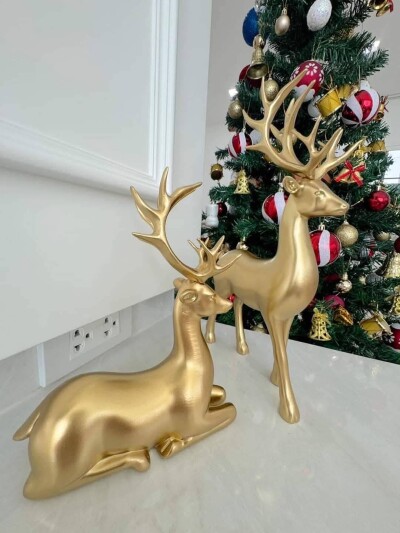 โกลเด้น นีโอ สุขุมวิท-ลาซาล / - มีสโมสร / สระว่ายน้ำ - พื้นที่ 53 ตรว 181 ตรม-5