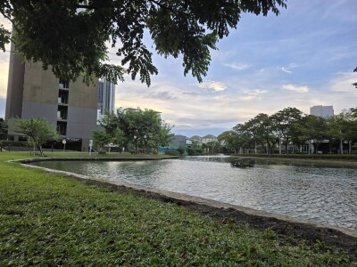 เดอะ พาร์คแลนด์ ศรีนครินทร์ เลคไซด์  / The Parkland Srinakarin Lakeside-13