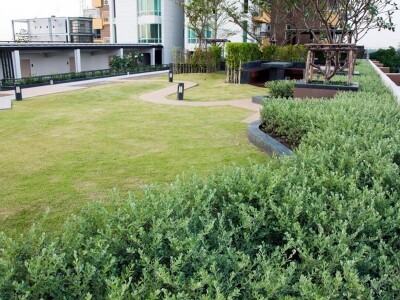 เอ็มโซไซตี้ คอนโดมิเนียม / M Society Condominium