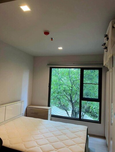 ไลฟ์ อโศก - พระราม 9 / Life Asoke - Rama 9