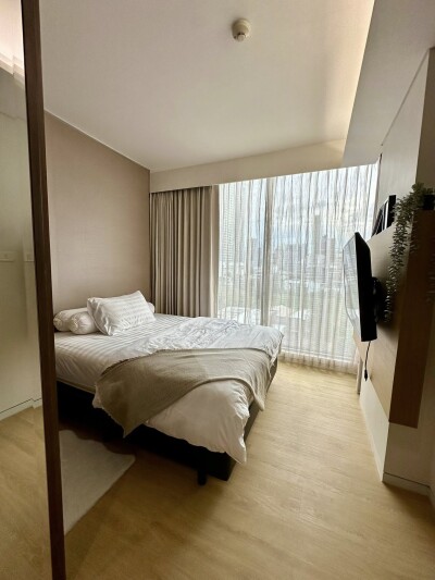 ไซมิส เทอร์ตี้ ไนน์ / Siamese 39