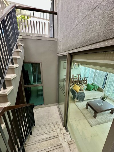 ไซมิส เทอร์ตี้ ไนน์ / Siamese 39