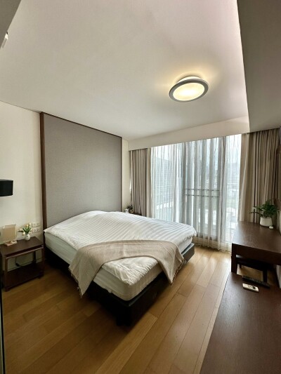 ไซมิส เทอร์ตี้ ไนน์ / Siamese 39