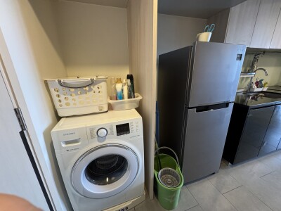 ไซมิส ราชครู / Siamese Ratchakru