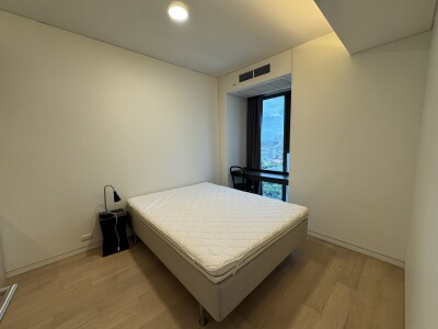 ไซมิส ราชครู / Siamese Ratchakru