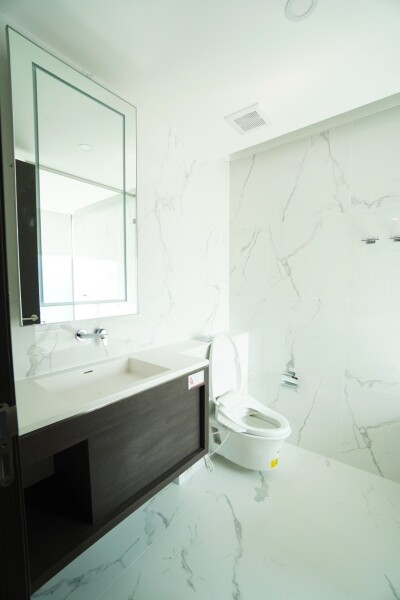 ไซมิส เอ๊กซ์คลูซีพ ควีนส์ / Siamese Exclusive Queens-14