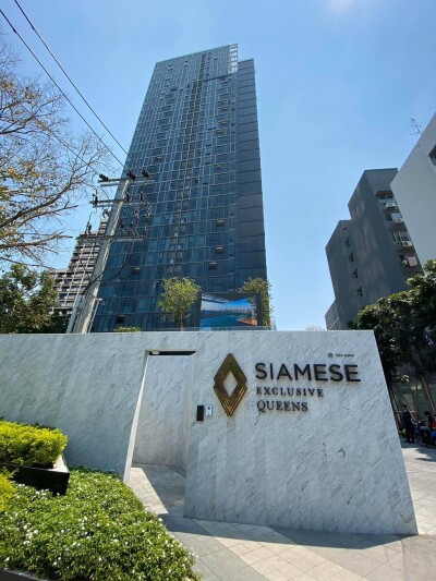 ไซมิส เอ๊กซ์คลูซีพ ควีนส์ / Siamese Exclusive Queens-22