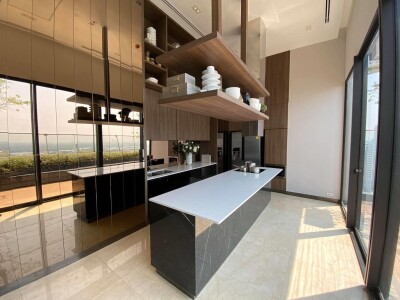 ไซมิส เอ๊กซ์คลูซีพ ควีนส์ / Siamese Exclusive Queens-20