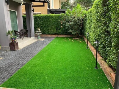 เดอะ แพลนท์ ปิ่นเกล้า - กาญจนาฯ-3