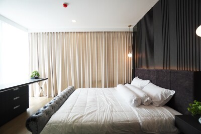 ไซมิส เอ๊กซ์คลูซีพ ควีนส์ / Siamese Exclusive Queens-6