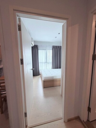 โครงการ: เดอะทรี สุขุมวิท 71 – เอกมัย 1 ห้องนอน / 1 ห้องน้ำ 30 ตร.ม., ชั้น 7-7