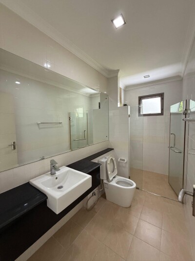 เพอร์เฟค มาสเตอร์พีซ พระราม 9