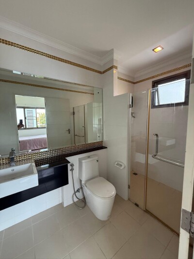 เพอร์เฟค มาสเตอร์พีซ พระราม 9