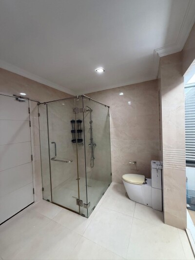 เพอร์เฟค มาสเตอร์พีซ พระราม 9