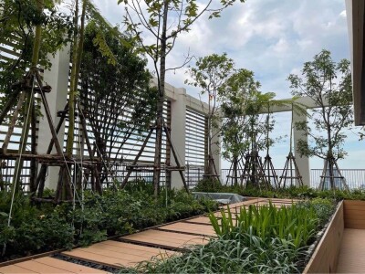 โนเบิล สเตท 39 / Noble State 39-11