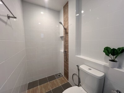 พลีโน่ สุขุมวิท - บางนา 2