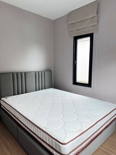 โคโม่ โบทานิก้า บางนา