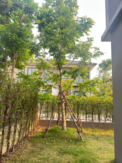 ไซมิส โฮล์ม พหลฯ - วิภาวดี / บ้านเดี่ยว 2 ชั้น  4 ห้องนอน  5 ห้องน้ำ-6