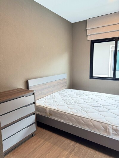 โคโม่ โบทานิก้า บางนา