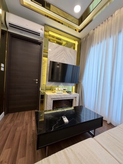 ไอวี่ แอมพิโอ / Ivy Ampio-1