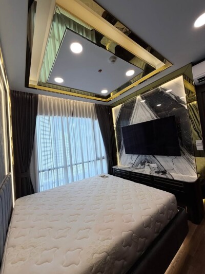 ไอวี่ แอมพิโอ / Ivy Ampio-4