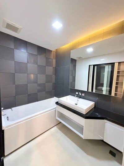 ไอวี่ แอมพิโอ / Ivy Ampio-8