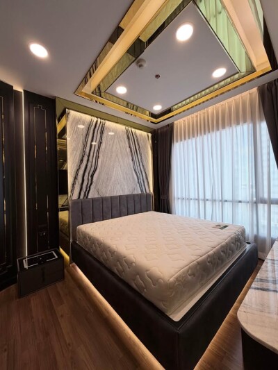 ไอวี่ แอมพิโอ / Ivy Ampio-3