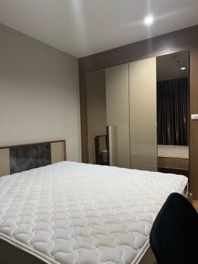 เดอะ ทรี อินเตอร์เชนจ์ / The Tree Interchange-5