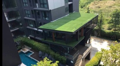 ดิ เอ็กซ์เซล กรูฟ ลาซาล 52 / The Excel Groove Lasalle 52-11