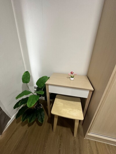 เอ ไลฟ์ สุขุมวิท 76 / Alive Sukhumvit 76-3