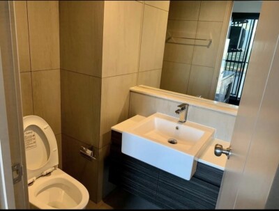 เดอะ โพลิแทน รีฟ / The Politan Rive