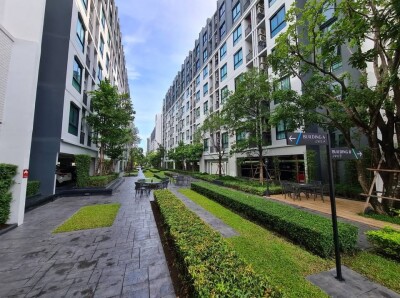 น็อตติ้ง ฮิลล์ สุขุมวิท 105 / Notting Hill Sukhumvit 105