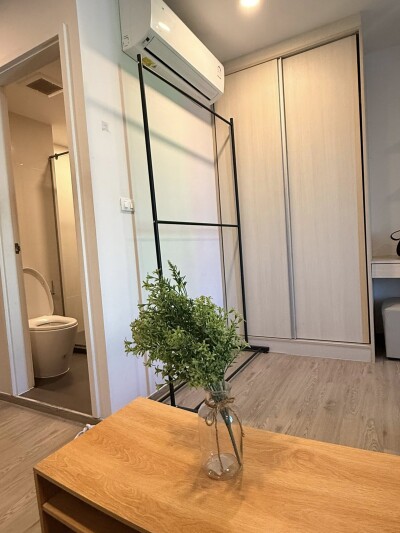 โดว์เช่ ลาซาล / Dolce Lasalle