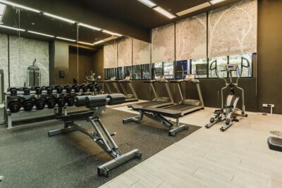 โนเบิล รีวิล / Noble Reveal