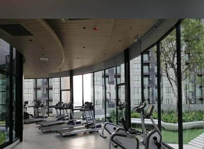 เอลลิโอ เดล เนสท์ / Elio del nest