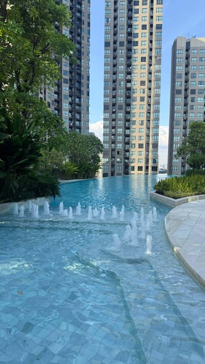 เอลลิโอ เดล เนสท์ / Elio del nest